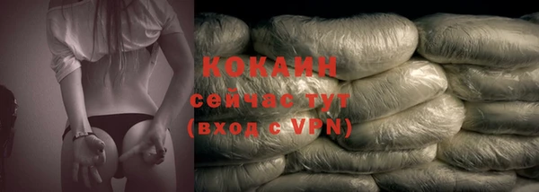 прущая мука Вяземский