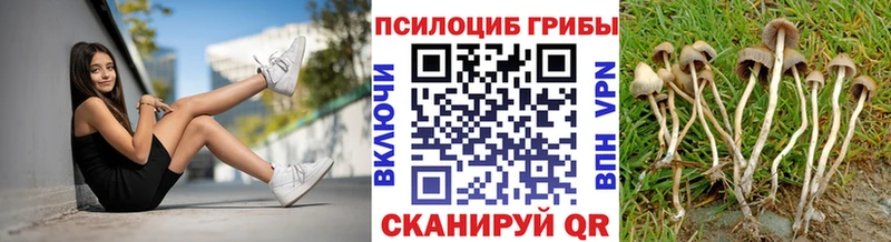 Купить где Муравленко Галлюциногенные грибы GOLDEN TEACHER