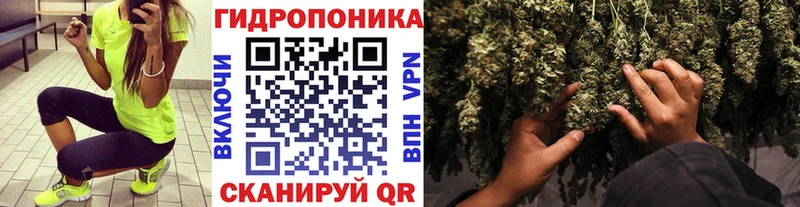Канабис White Widow Купить Муравленко